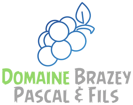 Logo P. Brazey